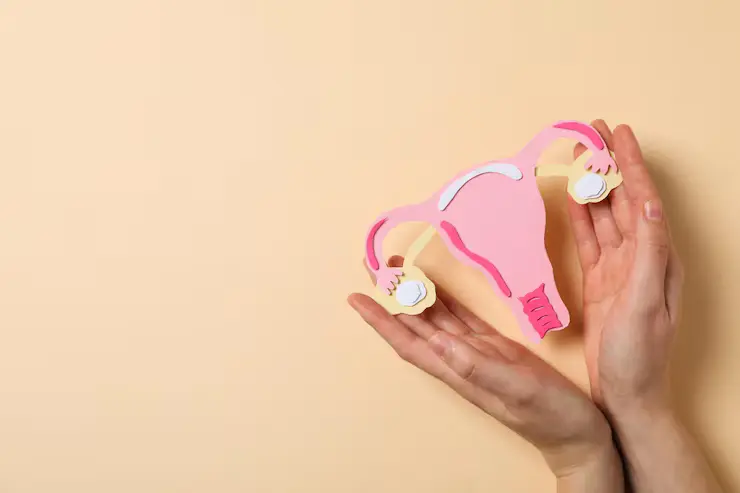 Now offering cosmetic gynaecology