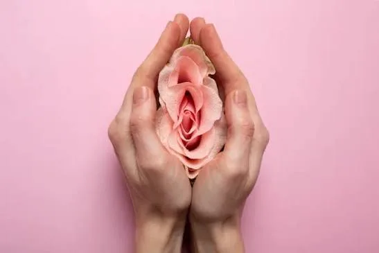 Cosmetic Gynaecology Treatment